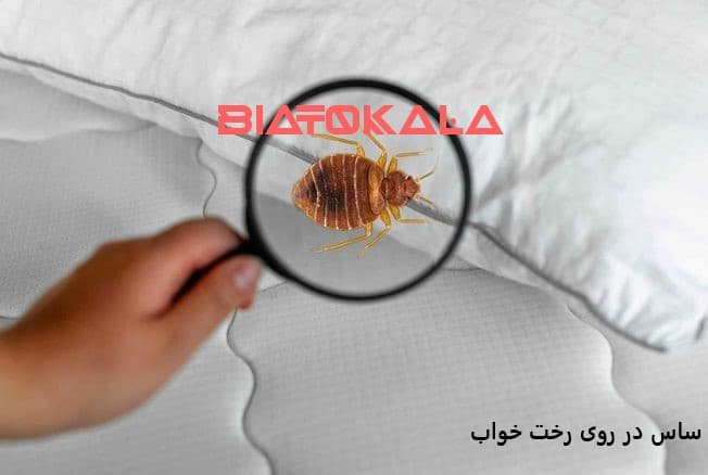 ساس کش اصل 
